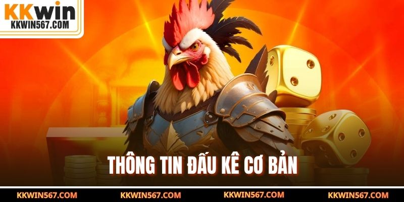 Thông tin đấu kê cơ bản